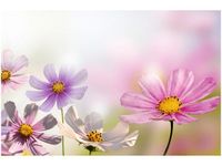 product-compare-58693804