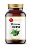 # YANGO Rukiew Wodna (90 kaps.)