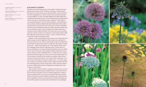 Suchy Ogród. Lekcje Z Ogrodu Żwirowego Beth Chatto na Arena.pl