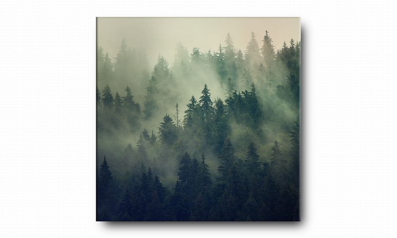 OBRAZ NA PŁÓTNIE 027 Gęsty las 70x70cm zdjęcie 2