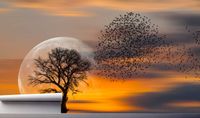 Fototapeta DRZEWO KSIĘŻYC W ZACHODZIE SŁOŃCA