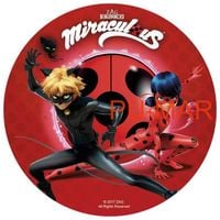 Opłatek na tort Urodziny Biedronka Czarny Kot Postać Tekst Gratis