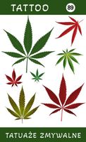 Tatuaże zmywalne Ganja