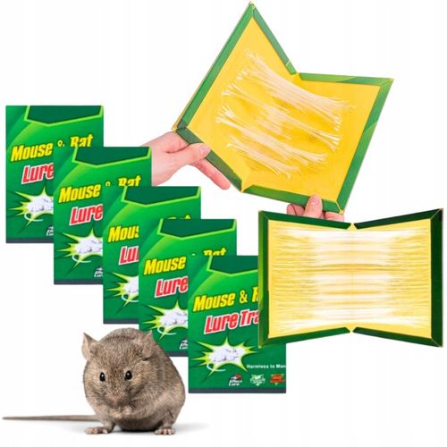 50x LEP na myszy SZCZURY silna pułapka MOCNY KLEJ Aromat MYSZOŁAPKA na Arena.pl