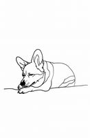 Plakat 53x81cm Śpiący Corgacz