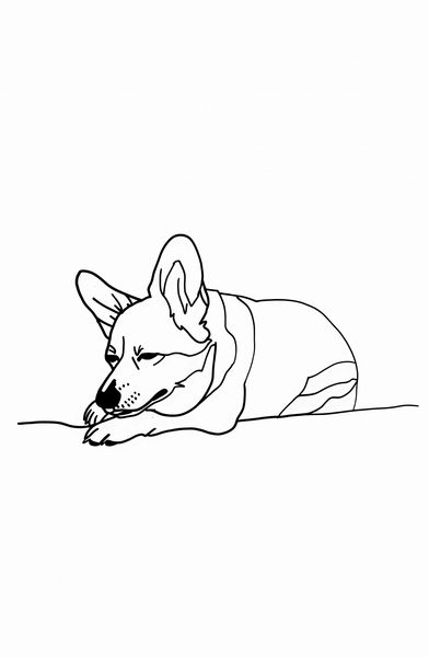 Plakat 53x81cm Śpiący Corgacz zdjęcie 1