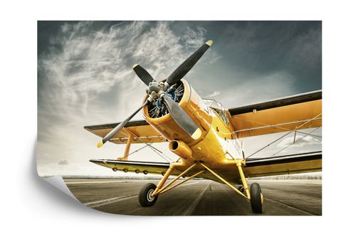 Fototapeta Zabytkowy Samolot Flizelina 400x280 na Arena.pl