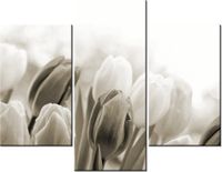 product-compare-58710910