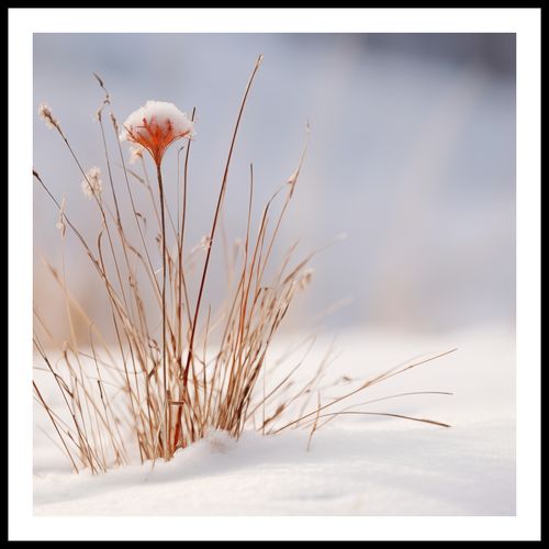 Plakat 90x90cm Zima w Detalach na Arena.pl