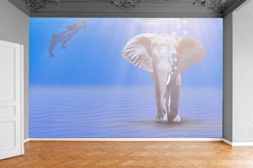 Fototapeta SŁOŃ IDĄCY DNEM OCEANU 370x250 na Arena.pl