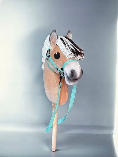 HOBBY HORSE FIORD A4+Gratis-CORDEO na Arena.pl