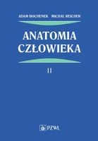 Anatomia człowieka Tom 2 Bochenek, Reicher