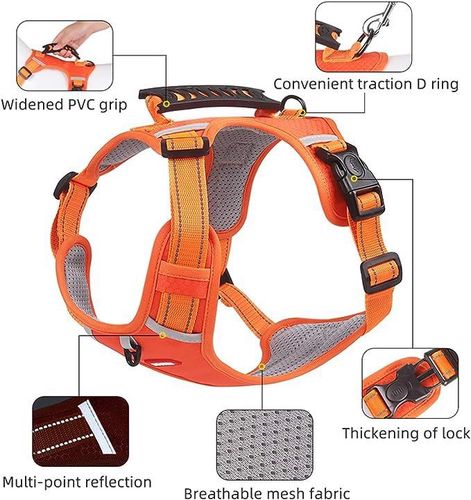 Szelki dla Psa Odblaskowe Treningowe M Pomarańcz na Arena.pl