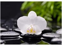 product-compare-58647475