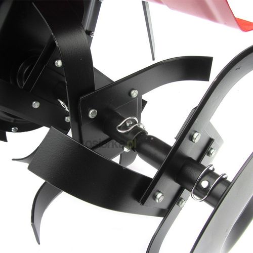 Pubert Elite 60BC2 na Arena.pl