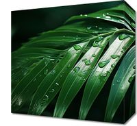 product-compare-59468056