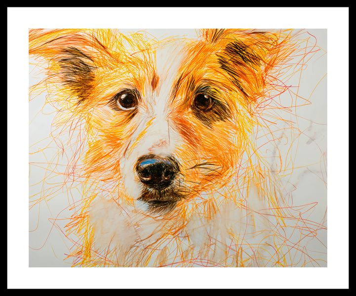 Plakat 50x40cm Uroczy Gość zdjęcie 3