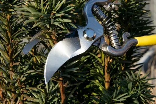 SEKATOR NOŻYCE OGRODOWE DO GAŁĘZI RĘCZNY KRZEWÓW zdjęcie 9