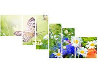 product-compare-58691200