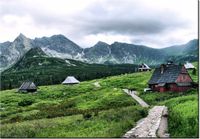 product-compare-58709938