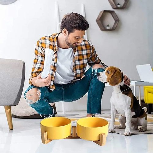 MISKA CERAMICZNA DLA PSA KOTA PODWÓJNA 2 x 850ml na Arena.pl