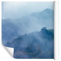 Fototapeta Las we Mgle Drzewa 3D do Sypialni 90x60