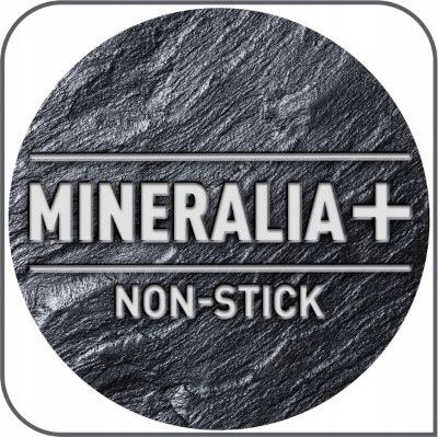 Patelnia naleśnikowa TEFAL Healthy Chef 25cm INDUKCJA G1503872 na Arena.pl