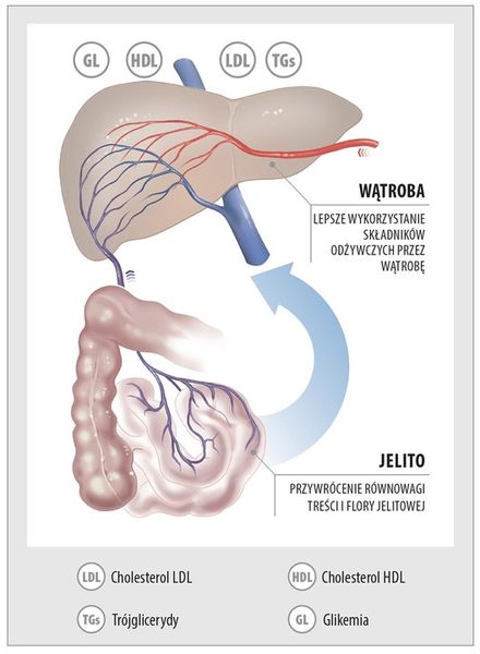 Aboca Metarecod Poprawa Wyników Cholesterolu Trójglicerydów Cukru zdjęcie 4