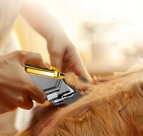 Mocna Maszynka do Strzyżenia Psa Psów Zwierząt Profesjonalna STALOWA na Arena.pl