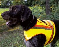 Kamizelka odblaskowa dla psów