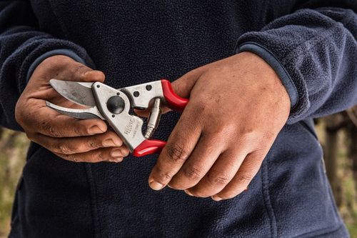 SEKATOR JEDNORĘCZNY DLA LEWORĘCZNYCH FELCO 16 na Arena.pl