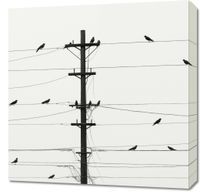 Obraz 60x60cm Symfonia na Drutach