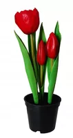 TULIPANY GUMOWE w doniczce TULIPAN CZERWONY 3 szt