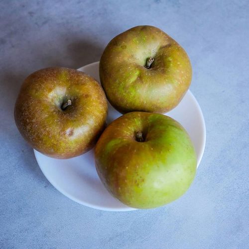 SADZONKI DRZEWKA OWOCOWE JABŁOŃ SZARA RENETA NAJLEPSZA CENIONA DO na Arena.pl