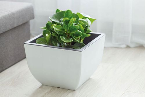 Doniczka okrągła Muna 35 | Antracyt na Arena.pl