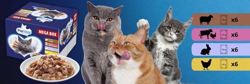 MOKRA KARMA DLA KOTA MEGA BOX MIX SMAKÓW 24X100G SASZETKI DLA KOTA PREVITAL na Arena.pl