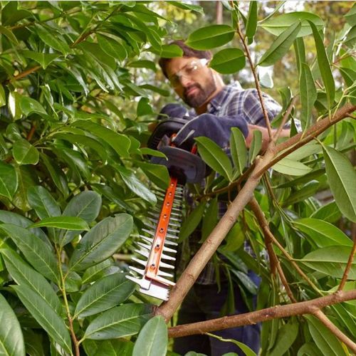 BLACK & DECKER | BEHTS301-QS | Hedge Trimmer na Arena.pl