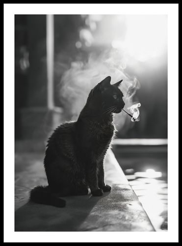 Plakat 42x59,4cm Kocia Przerwa na Arena.pl