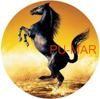 Opłatek na tort KONIE Koń Mustang Konik Kuc Urodziny Tekst Gratis