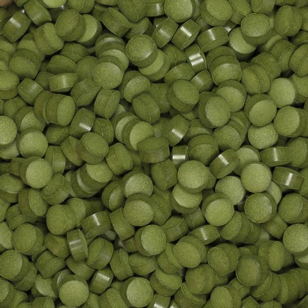 Chlorella 1000 tabletek 250g zdjęcie 3