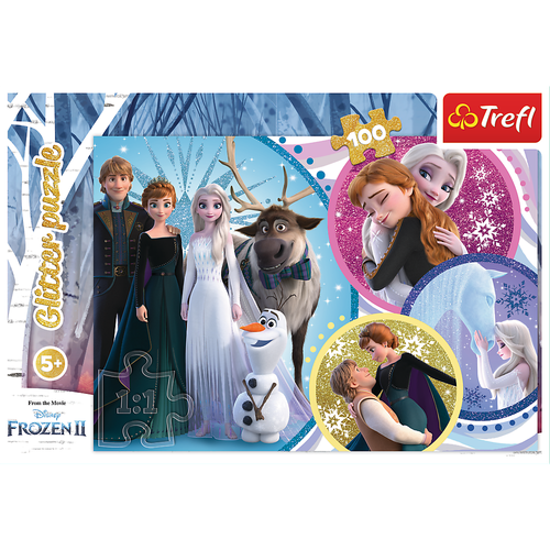 Puzzle100 Glitter W Blasku Miłości /Frozen2  14817 na Arena.pl