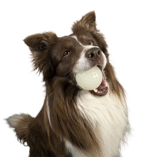 Kiwi Walker Let's Play Glow Ball Mini piłka na Arena.pl