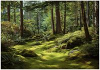 Fototapeta Na Flizelinie Do Sypialni Salonu Las 400x280