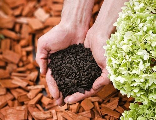 Węgiel brunatny do gleby CARBOMAT ECO 20 L (pH 6,0 - 6,5) na Arena.pl