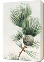 Obraz 40x60cm Gayo Matsu Pine, Morikaga Japoński Vintage