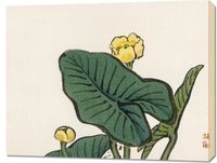 Obraz 90x70cm Water-Lily, Kōno Bairei Japoński Vintage do Salonu