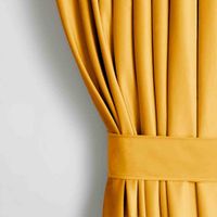 CURT/AH/VELVET/EYELETS/MUSTARD/N/140X245/1PC