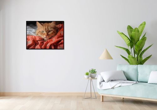 Plakat 80x60cm Mruczący Spokój na Arena.pl