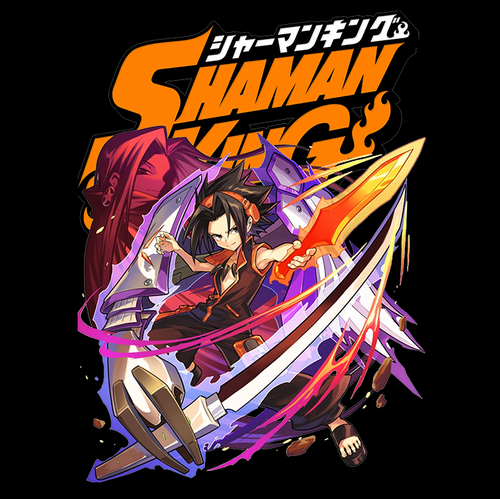 Koszulka Czarna Shaman King WYBIERZ KOLOR KOSZULKI I FASON Męska L na Arena.pl