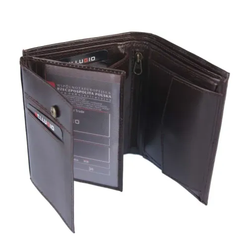 portfel męski bellugio pionowy na Arena.pl